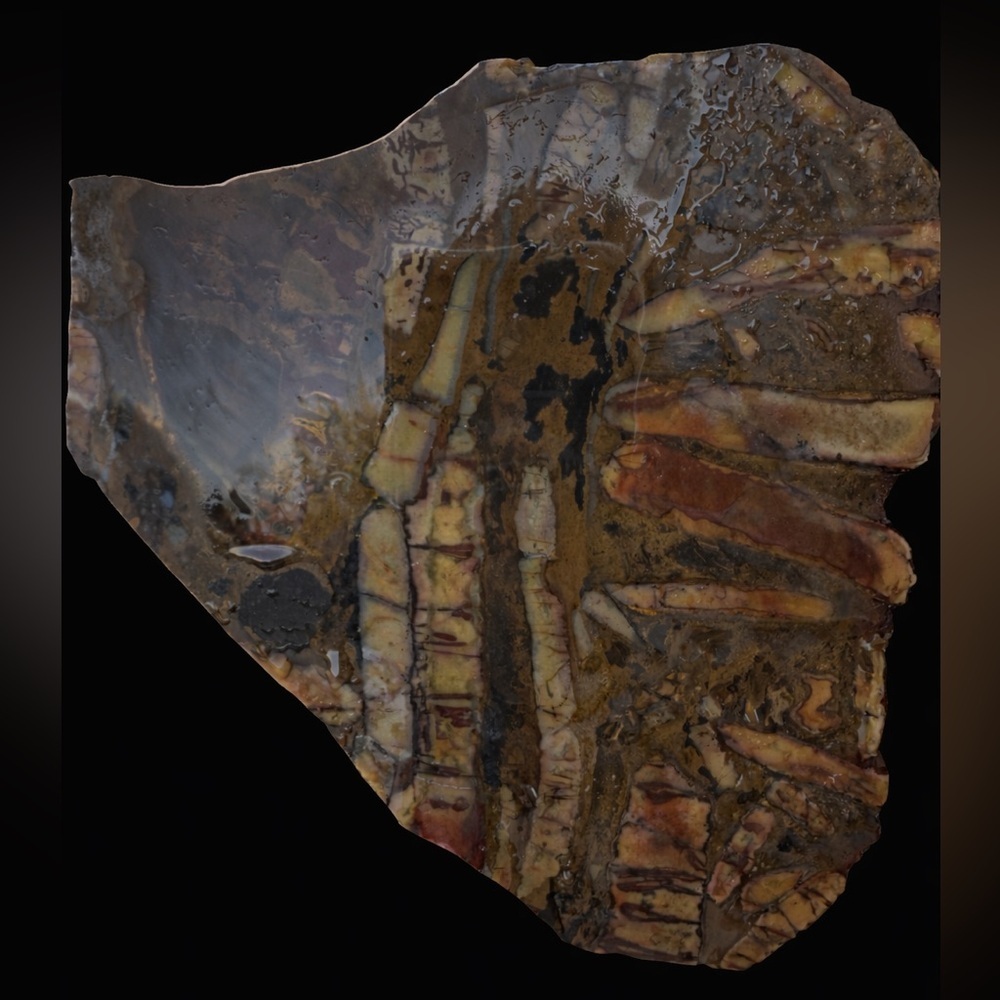 Andromeda jasper slab from Africa - Picture 3 of 6